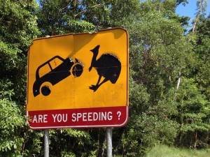 Mission Beach - Tounsville-006